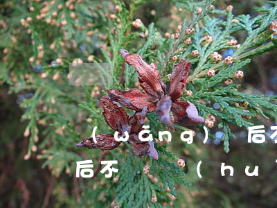網(wǎng)貸后不還，網(wǎng)貸后不還錢會(huì)有什么后果