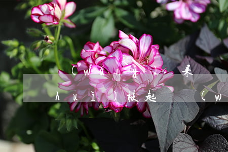 網(wǎng)貸呆賬會(huì)不會(huì)被起訴(網(wǎng)貸呆帳還會(huì)漲利息嗎)