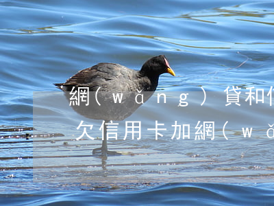 網(wǎng)貸和信用卡一共欠了16萬(欠信用卡加網(wǎng)貸總共三十萬)