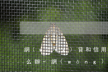 網(wǎng)貸和信用卡一共欠了30怎么辦-網(wǎng)貸加信用卡欠了30萬(wàn)