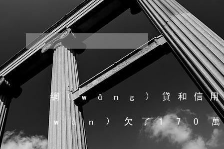 網(wǎng)貸和信用卡共欠了17萬(wàn)(欠了170萬(wàn)信用卡和網(wǎng)貸)