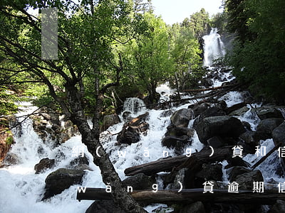 網(wǎng)貸和信用卡卡都逾期了(網(wǎng)貸逾期信用卡逾期會(huì)怎么樣)
