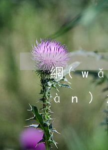 網(wǎng)貸和信用卡欠100萬(wàn)怎么辦(欠信用卡和網(wǎng)貸二十萬(wàn)怎么辦)