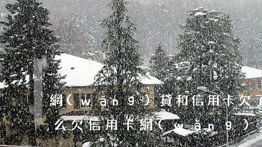 網(wǎng)貸和信用卡欠了60多萬怎么(欠信用卡網(wǎng)貸60萬如何自救)