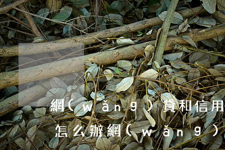 網(wǎng)貸和信用卡欠了十幾萬,應該怎么辦?（網(wǎng)貸信用卡逾期十幾萬怎么辦）