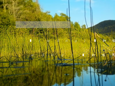 網(wǎng)貸和信用卡欠了十幾萬(網(wǎng)貸和信用卡欠了十幾萬沒有逾期是否能和銀行貸款)