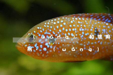 網(wǎng)貸和信用卡無力償還怎么判刑-網(wǎng)貸和信用卡無力償還怎么判刑呢