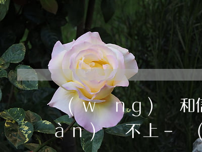 網(wǎng)貸和信用卡貸款幾十萬(wàn)還不上-網(wǎng)貸和信用卡貸款幾十萬(wàn)還不上怎么辦