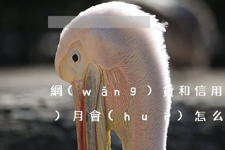網(wǎng)貸和信用卡逾期一個(gè)月會(huì)怎么樣（有幾筆網(wǎng)貸信用卡有逾期）