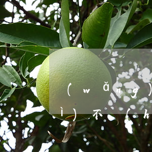網(wǎng)貸和信用卡逾期了會(huì)不會(huì)(網(wǎng)貸和信用卡逾期哪個(gè)可怕)