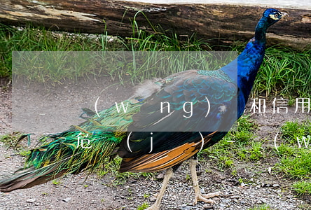 網(wǎng)貸和信用卡逾期最近的情感危機(jī)-網(wǎng)貸和信用卡逾期的影響