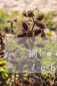 網(wǎng)貸和信用卡逾期會拍賣房產(chǎn)嗎(網(wǎng)貸不還會不會拍賣名下房產(chǎn))