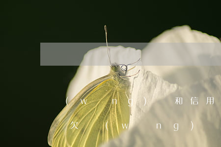 網(wǎng)貸和信用卡逾期會拍賣車子嗎(欠網(wǎng)貸會拍賣我車子嗎)