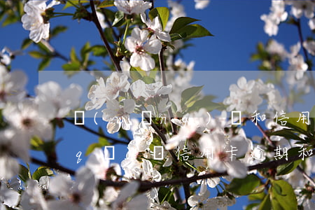 網(wǎng)貸和信用卡逾期有什么區(qū)別（信用卡逾期和網(wǎng)貸逾期有區(qū)別嗎）