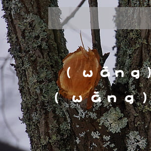 網(wǎng)貸和信用卡逾期該怎么辦(網(wǎng)貸逾期可以用信用卡嗎)