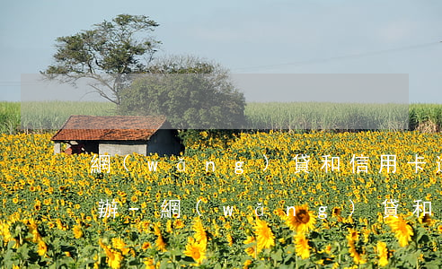 網(wǎng)貸和信用卡逾期還不上怎么辦-網(wǎng)貸和信用卡逾期還不上怎么辦