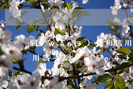 網(wǎng)貸和信用卡逾期銀行卡還能用嗎-網(wǎng)貸和信用卡逾期銀行卡還能用嗎知乎