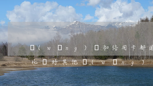 網(wǎng)貸和信用卡都逾期了怎么還比較好（其他網(wǎng)貸逾期有什么渠道還信用卡）