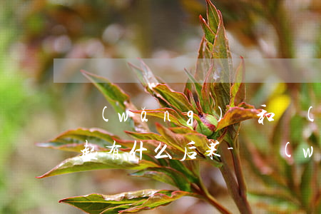 網(wǎng)貸和個(gè)人貸款還不起有什么后果-網(wǎng)貸和個(gè)人貸款還不起有什么后果嗎