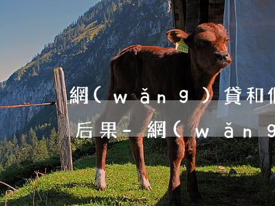 網(wǎng)貸和個人貸款還不起有什么后果-網(wǎng)貸和個人貸款還不起有什么后果嗎