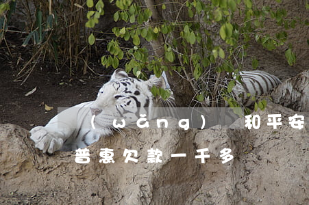 網(wǎng)貸和平安普惠欠60萬(平安普惠欠款一千多)