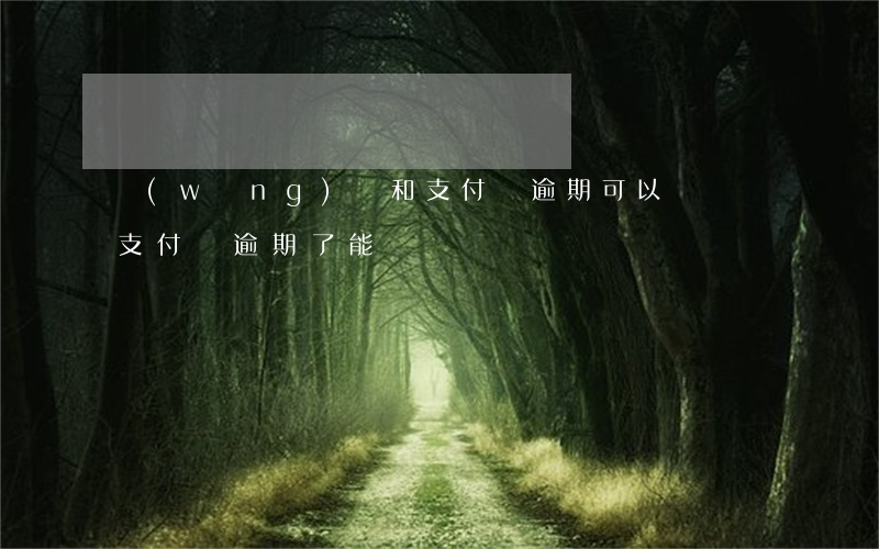 網(wǎng)貸和支付寶逾期可以買車嗎(支付寶逾期了能買車嗎)