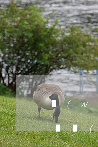 網(wǎng)貸和支付寶逾期能上門(支付寶網(wǎng)上銀行逾期好幾個(gè)月了會(huì)上門嗎)