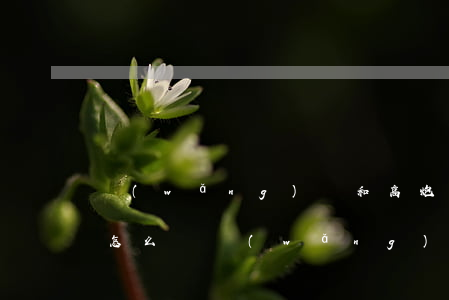 網(wǎng)貸和高炮不還會(huì)怎么樣(網(wǎng)貸和高炮不還會(huì)怎么樣)