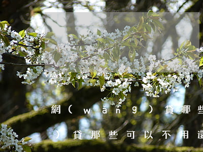 網(wǎng)貸哪些不用還（網(wǎng)貸那些可以不用還）