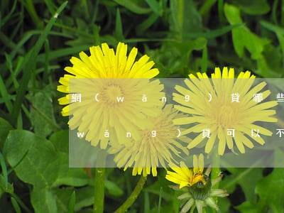 網(wǎng)貸哪些行為可以不還款(網(wǎng)貸可以不還嗎)