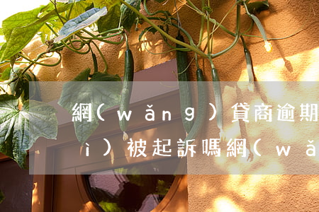 網(wǎng)貸商逾期三年了還會(huì)被起訴嗎 網(wǎng)商銀行貸款逾期三個(gè)月2萬會(huì)被起訴嗎?