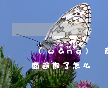 網(wǎng)貸商逾期，網(wǎng)貸商逾期了怎么辦