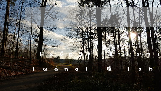 網(wǎng)貸啥時(shí)候起訴(網(wǎng)貸啥時(shí)候起訴有效)