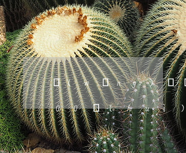 網(wǎng)貸嚴(yán)重逾期3000會(huì)被起訴嗎(網(wǎng)貸3000逾期能立案嗎)