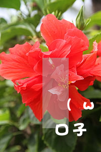 網(wǎng)貸嚴(yán)重逾期下款口子(網(wǎng)貸嚴(yán)重逾期下款口子)