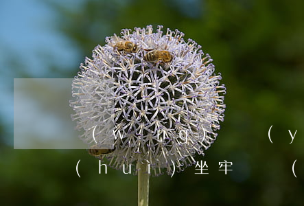 網(wǎng)貸嚴(yán)重逾期了會(huì)坐牢嗎(網(wǎng)貸逾期會(huì)觸犯刑法嗎)