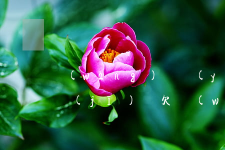網(wǎng)貸嚴(yán)重逾期坐飛機(jī)嗎(欠網(wǎng)貸能不能坐飛機(jī))