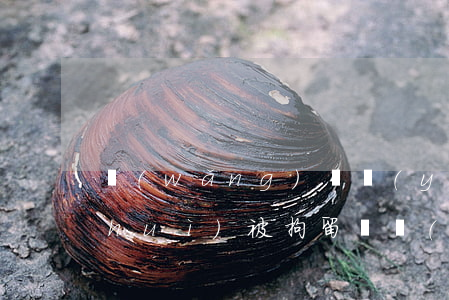 網(wǎng)貸嚴(yán)重逾期會(huì)被拘留嗎(網(wǎng)貸嚴(yán)重逾期會(huì)被拘留嗎)