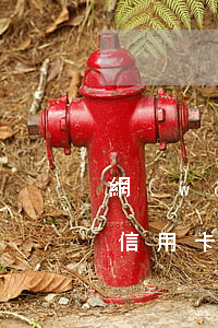 網(wǎng)貸嚴(yán)重逾期辦理信用卡(網(wǎng)貸嚴(yán)重逾期辦理信用卡有影響嗎)