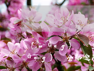 網(wǎng)貸嚴重逾期哪還能貸(網(wǎng)貸全部逾期哪里還可以下)