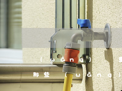 網(wǎng)貸嚴重逾期能貸款嗎(有逾期那些網(wǎng)貸能過)