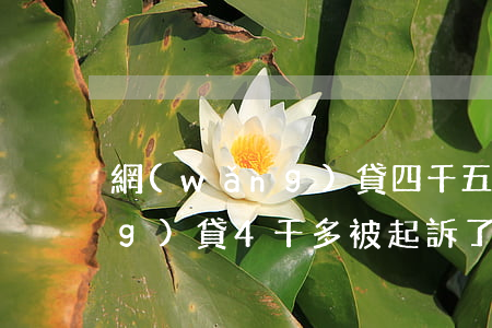 網(wǎng)貸四千五起訴(欠網(wǎng)貸4千多被起訴了怎么辦)