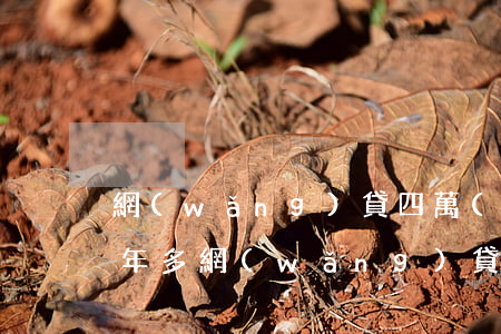 網(wǎng)貸四萬(wàn)多逾期一年多(網(wǎng)貸20000逾期4個(gè)月)