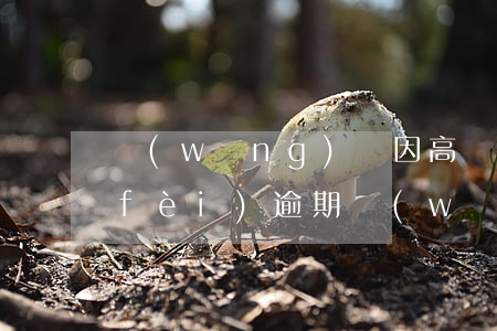 網(wǎng)貸因高額手續(xù)費(fèi)逾期(網(wǎng)貸逾期產(chǎn)生的高額罰金合法嗎)