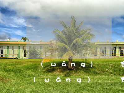 網(wǎng)貸國家認(rèn)可嗎(網(wǎng)貸國家保護(hù)嗎)