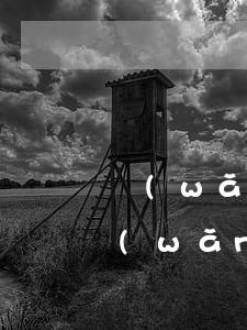 網(wǎng)貸坦白后家破人亡-二次網(wǎng)貸坦白家破人亡