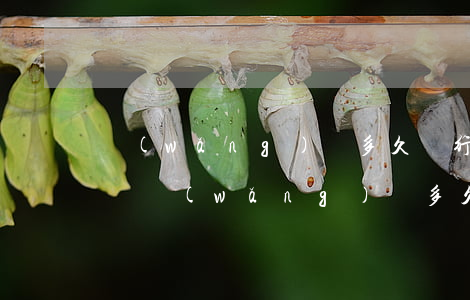 網(wǎng)貸多久銀行會(huì)起訴(網(wǎng)貸多久會(huì)被執(zhí)行)