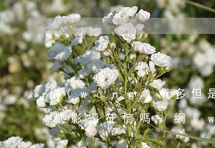 網(wǎng)貸多但是按時(shí)還款影響征信嗎-網(wǎng)貸多但是按時(shí)還款影響征信嗎怎么辦