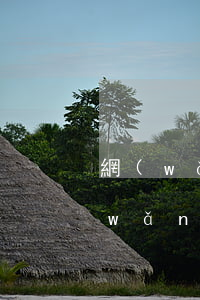 網(wǎng)貸多個逾期還可以貸嗎(網(wǎng)貸逾期過,還清了,還可以貸嗎?)