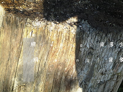 網(wǎng)貸多少才能欠多少立案(拖欠網(wǎng)貸多少可以立案)
